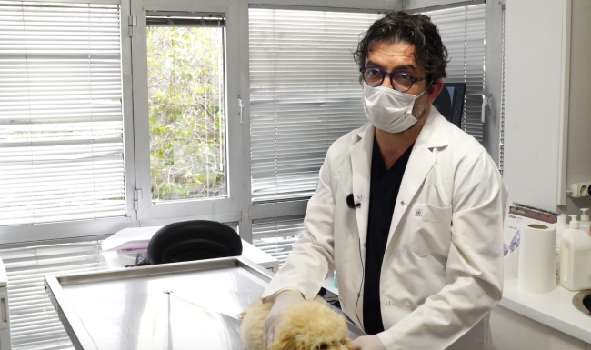 Veteriner Hekim Tolga Leman / Fotoğraf: TRT Haber